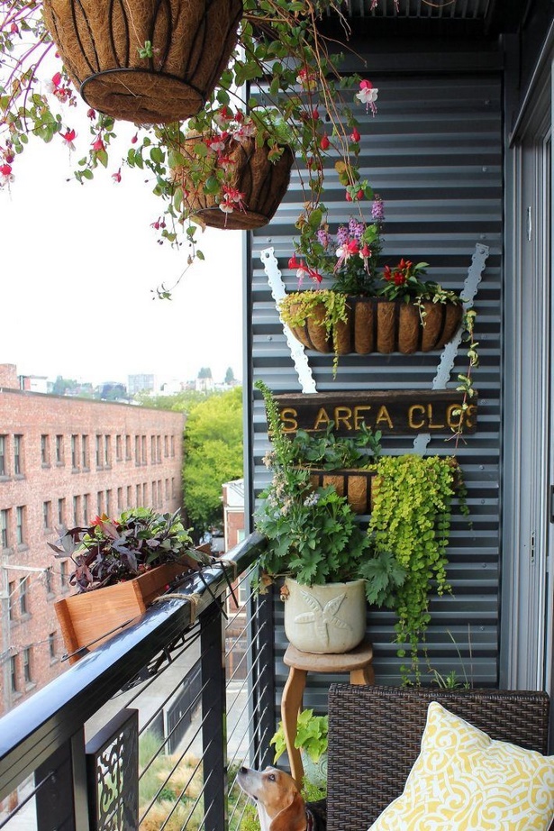 Апартамент балкон растения