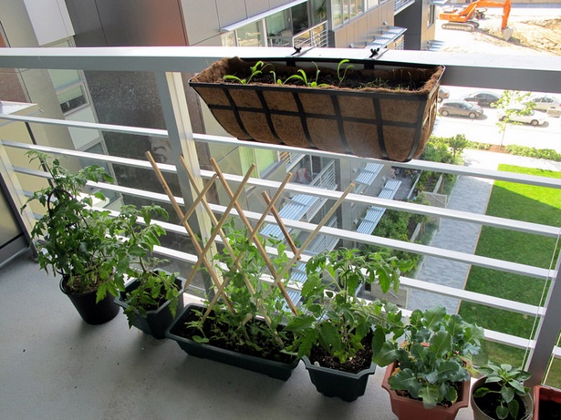 apartment-balcony-plants-05_12 Апартамент балкон растения