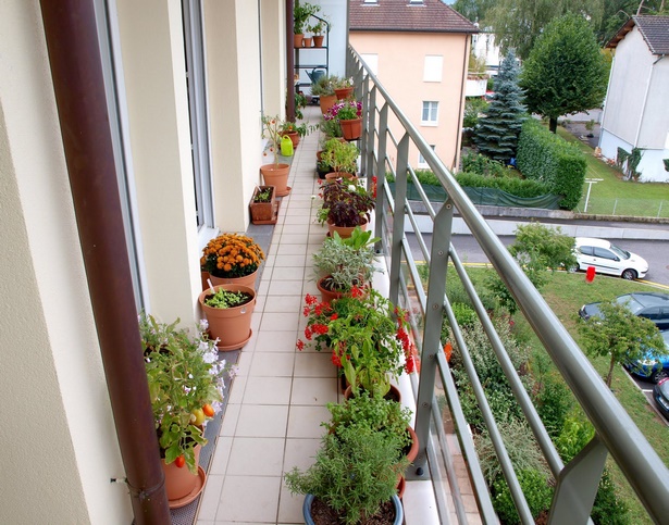 apartment-herb-garden-balcony-31_16 Апартамент билкова градина балкон