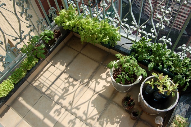 apartment-herb-garden-balcony-31_8 Апартамент билкова градина балкон