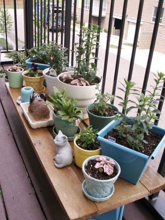 apartment-patio-plants-11 Апартамент тераса растения