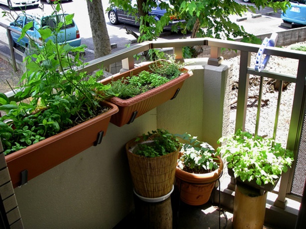 apartment-terrace-garden-ideas-30_18 Апартамент тераса идеи за градината