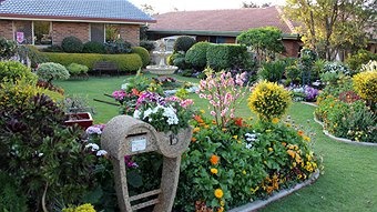 australian-front-gardens-02_8 Австралийски предни градини
