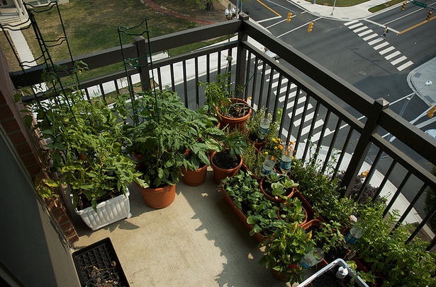 balcony-container-gardening-ideas-65_12 Балкон контейнер градинарство идеи