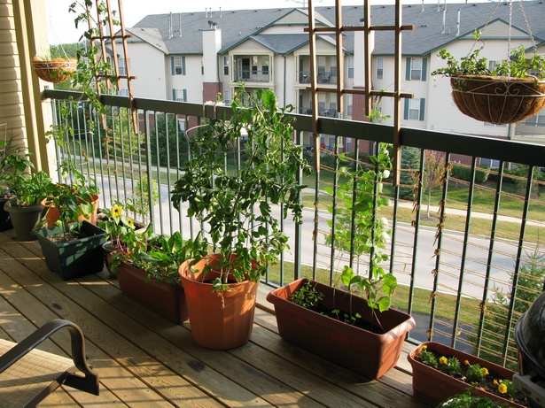 balcony-container-gardening-ideas-65_13 Балкон контейнер градинарство идеи
