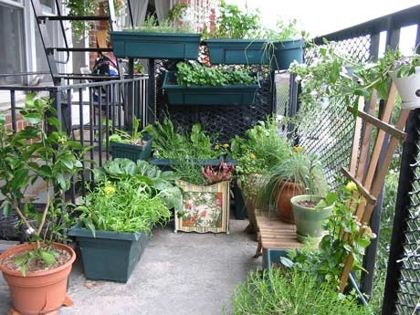balcony-container-gardening-ideas-65_6 Балкон контейнер градинарство идеи