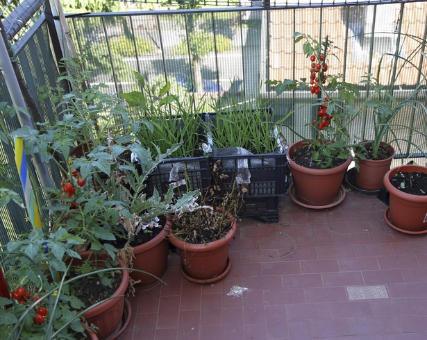 balcony-container-gardening-ideas-65_7 Балкон контейнер градинарство идеи