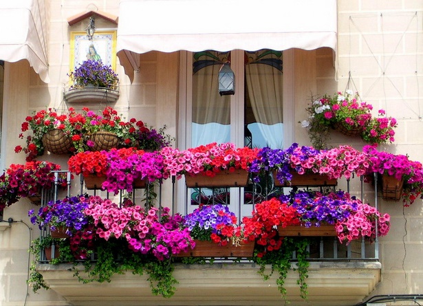 balcony-flower-garden-ideas-80_12 Балкон цветна градина идеи
