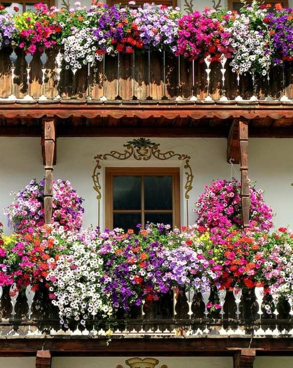 balcony-flower-garden-ideas-80_16 Балкон цветна градина идеи