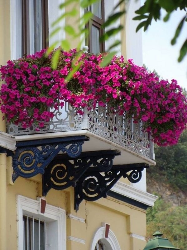 balcony-flower-garden-ideas-80_17 Балкон цветна градина идеи