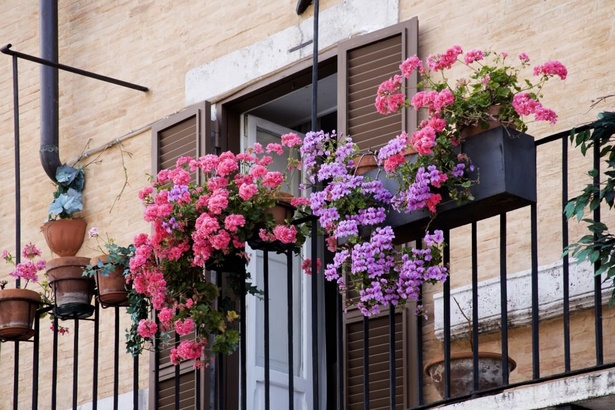 balcony-flower-garden-ideas-80_2 Балкон цветна градина идеи