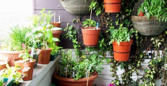 balcony-herb-garden-designs-containers-56 Балкон билкова градина дизайн контейнери