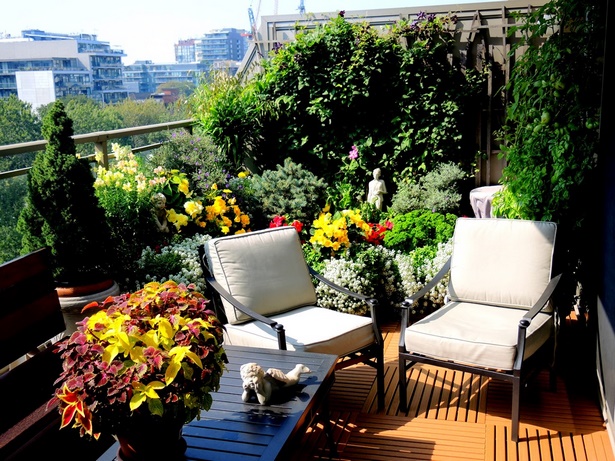 best-patio-garden-plants-37_16 Най-добрите градински растения
