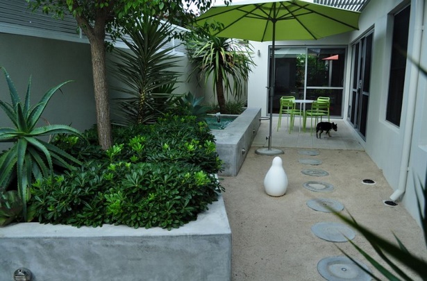 best-patio-garden-plants-37_18 Най-добрите градински растения