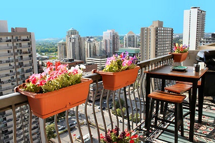 best-plants-for-apartment-balcony-44_15 Най-добрите растения за апартамент балкон