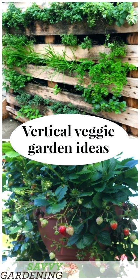 easy-home-garden-ideas-01_19 Лесни идеи за домашна градина