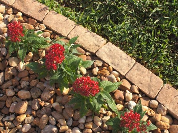 edging-bricks-for-gardens-04_10 Кант тухли за градини