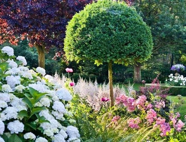 garden-bush-ideas-41_10 Градина Буш идеи