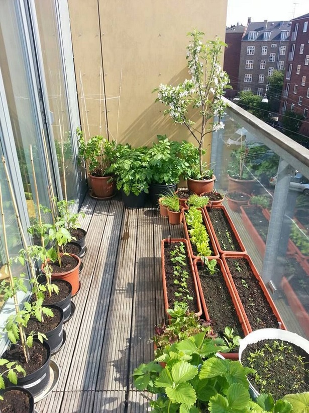 garden-for-apartment-balcony-49_17 Градина за апартамент балкон