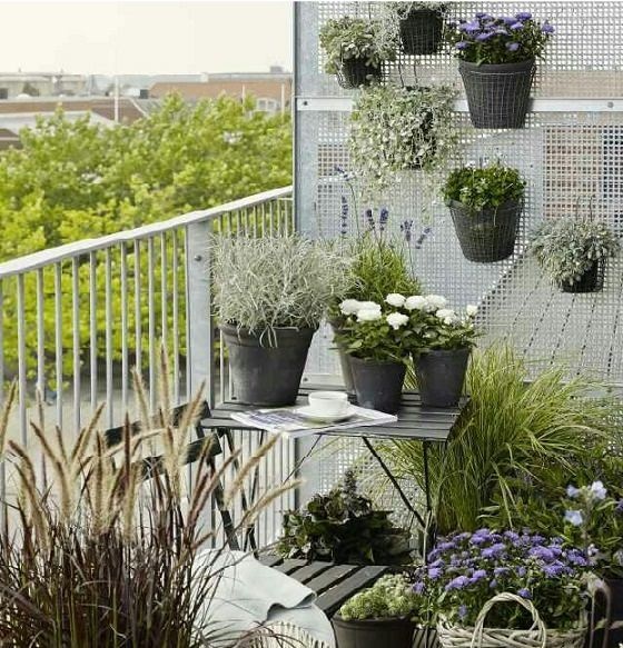 garden-for-apartment-balcony-49_18 Градина за апартамент балкон