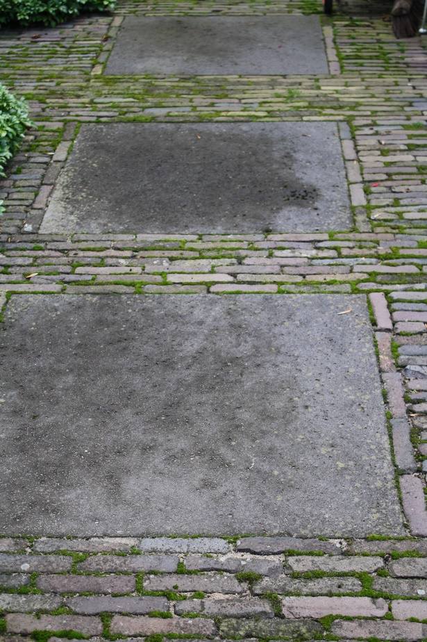 garden-paving-bricks-52_8 Градински павета тухли