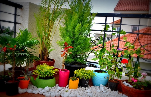 gardening-ideas-for-small-balcony-23_9 Градинарски идеи за малък балкон