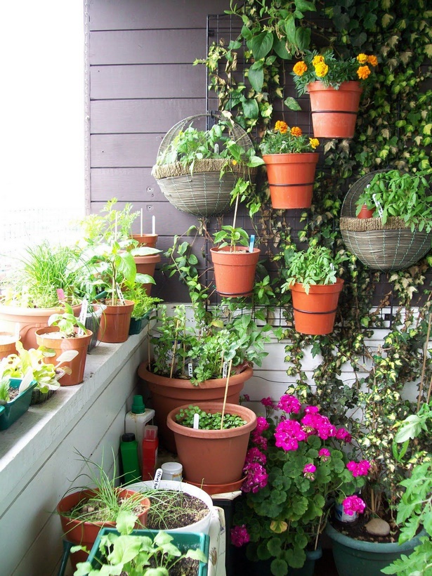 Градинарство в дома балкон