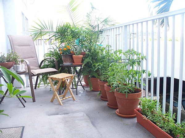 Добри растения за апартамент балкон