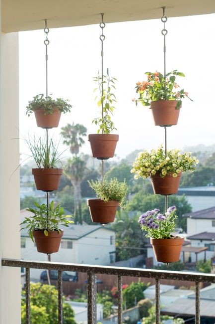 good-plants-for-apartment-balcony-86_15 Добри растения за апартамент балкон