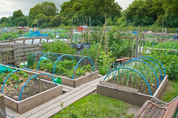 home-garden-ideas-vegetable-76_14 Основен градински идеи зеленчукови