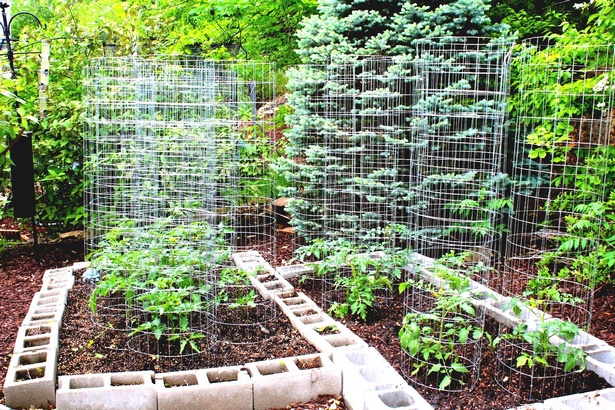 home-garden-ideas-vegetable-76_15 Основен градински идеи зеленчукови