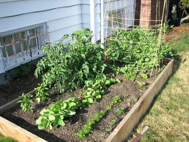 home-garden-ideas-vegetable-76_18 Основен градински идеи зеленчукови