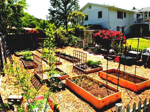 home-garden-ideas-vegetable-76_2 Основен градински идеи зеленчукови