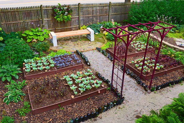 home-garden-ideas-vegetable-76_9 Основен градински идеи зеленчукови