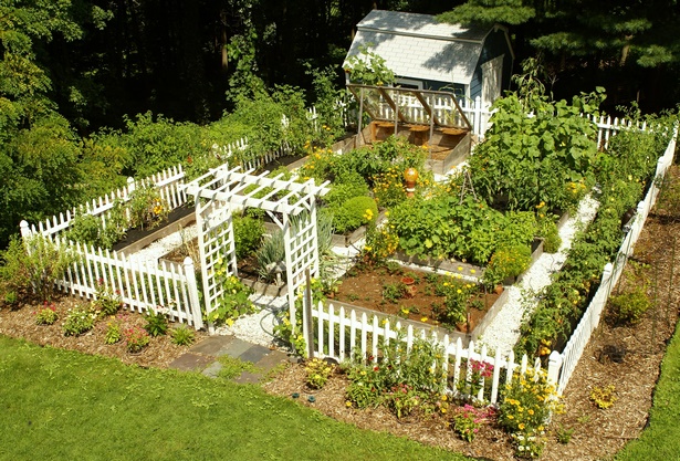 home-garden-vegetables-ideas-59_14 Начало Градина зеленчуци идеи