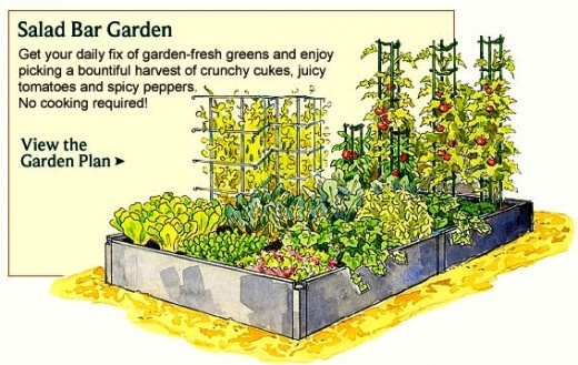 home-garden-vegetables-ideas-59_6 Начало Градина зеленчуци идеи