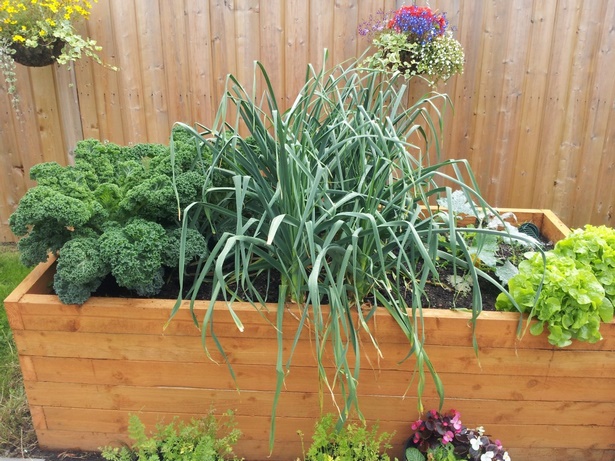 Идеи за малки зеленчукови градини