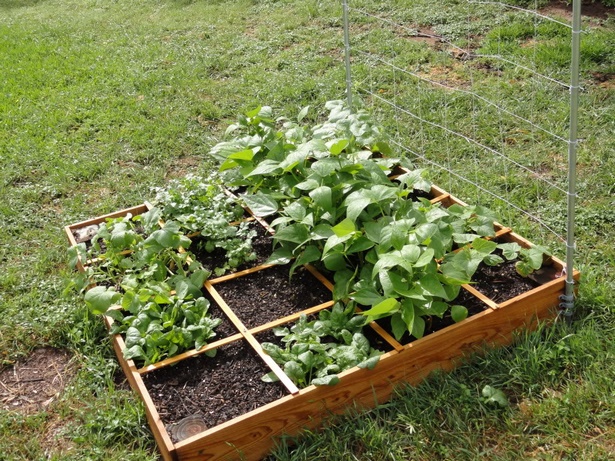 ideas-for-small-vegetable-gardens-55_10 Идеи за малки зеленчукови градини