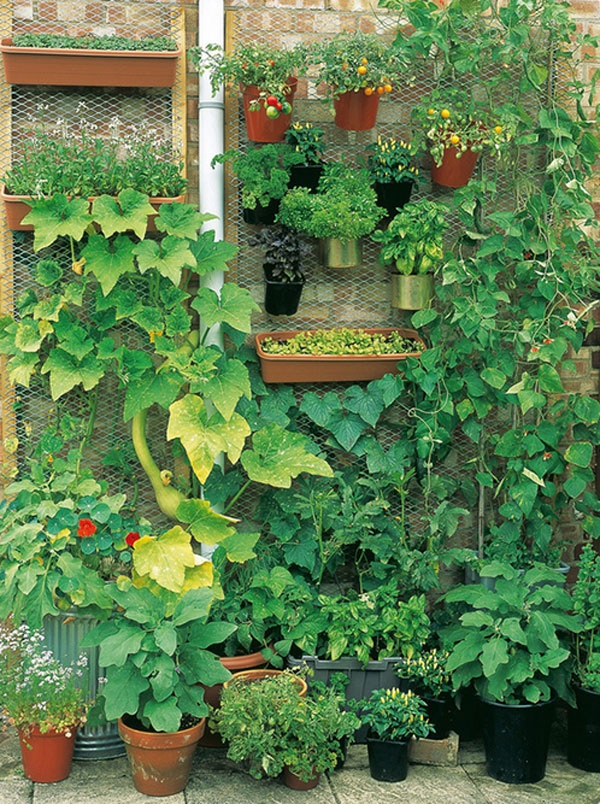ideas-for-small-vegetable-gardens-55_11 Идеи за малки зеленчукови градини