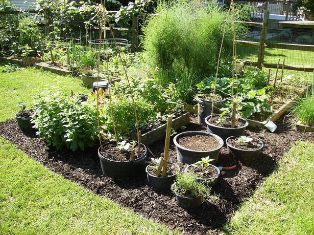 ideas-for-small-vegetable-gardens-55_12 Идеи за малки зеленчукови градини