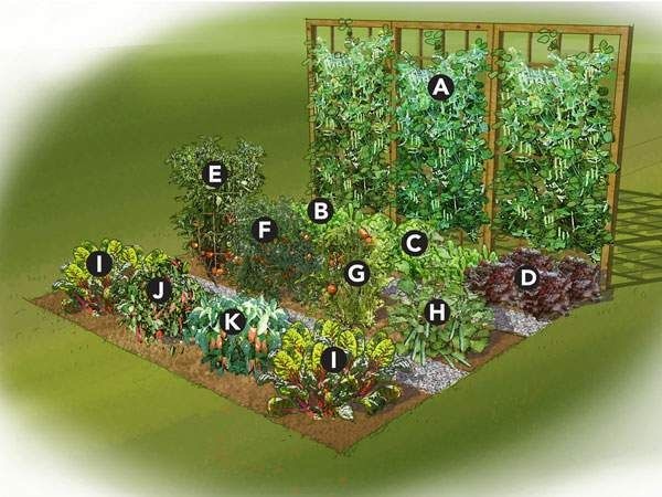 ideas-for-small-vegetable-gardens-55_17 Идеи за малки зеленчукови градини