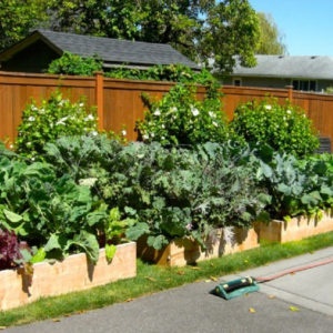 ideas-for-small-vegetable-gardens-55_18 Идеи за малки зеленчукови градини
