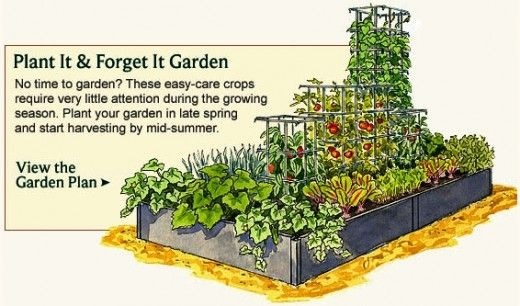 ideas-for-small-vegetable-gardens-55_19 Идеи за малки зеленчукови градини