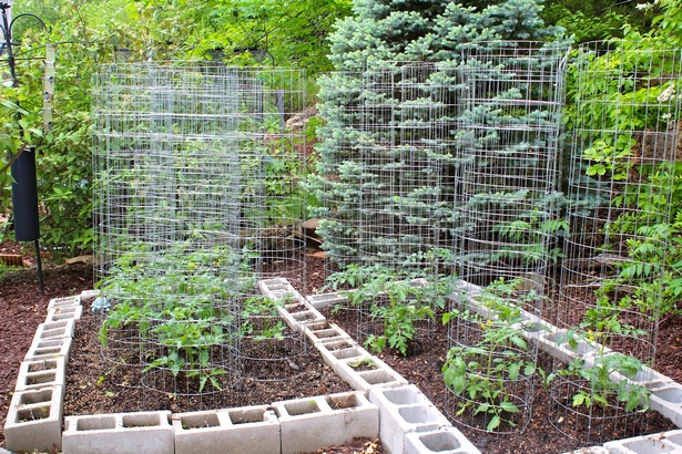 ideas-for-small-vegetable-gardens-55_2 Идеи за малки зеленчукови градини