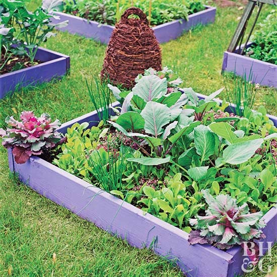 ideas-for-small-vegetable-gardens-55_3 Идеи за малки зеленчукови градини