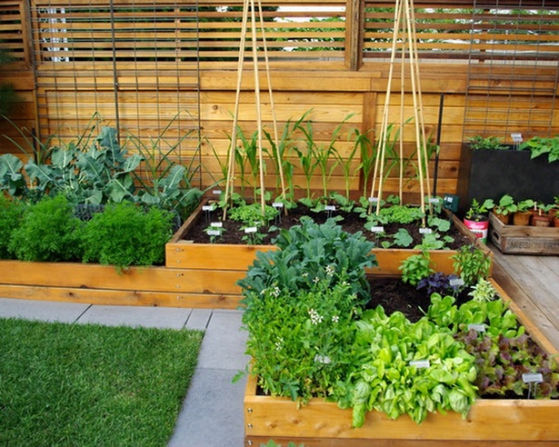 ideas-for-small-vegetable-gardens-55_6 Идеи за малки зеленчукови градини