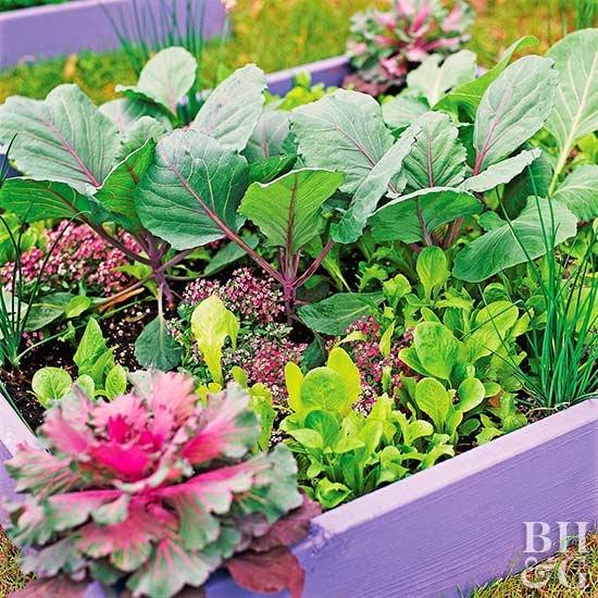 ideas-for-small-vegetable-gardens-55_8 Идеи за малки зеленчукови градини
