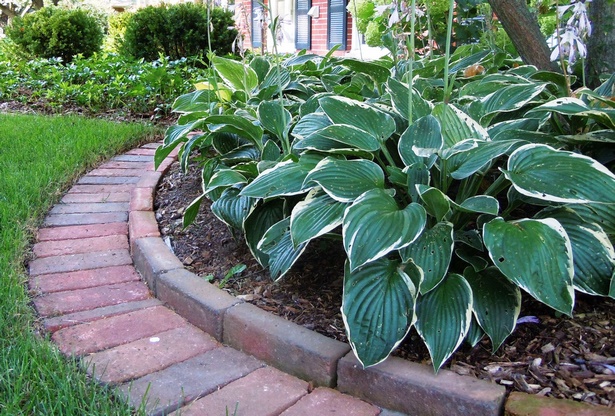landscaping-bricks-for-edging-73_11 Озеленяване тухли за Кант