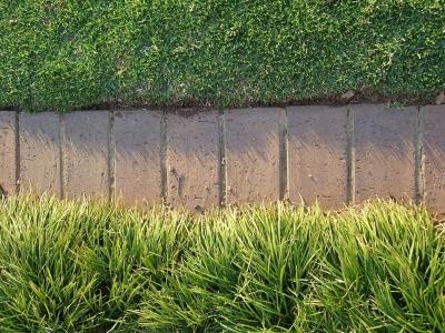 landscaping-bricks-for-edging-73_15 Озеленяване тухли за Кант