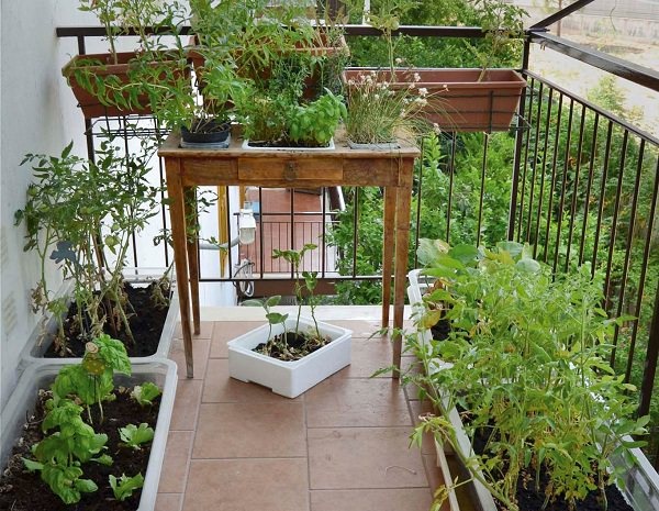mini-balcony-garden-86_16 Мини балкон градина